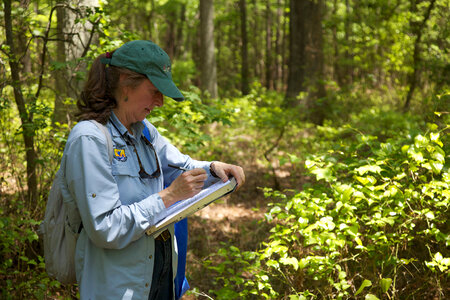 Service researcher