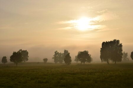 Backlight countryside dawn photo
