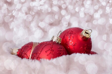 Red seasons holiday