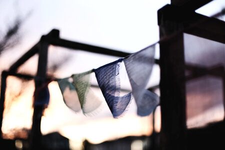Celebrate Flags hanging Outdoors photo