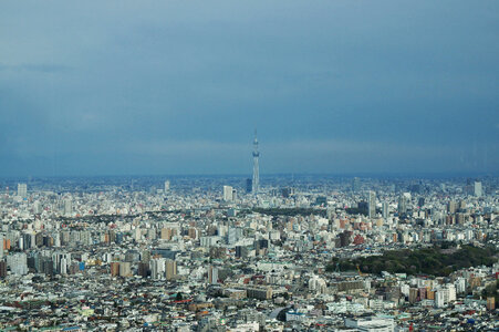 14 Tokyo