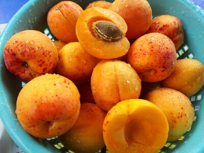 Fruits food orange