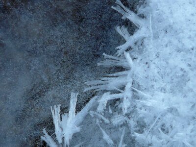 Iced frozen winter