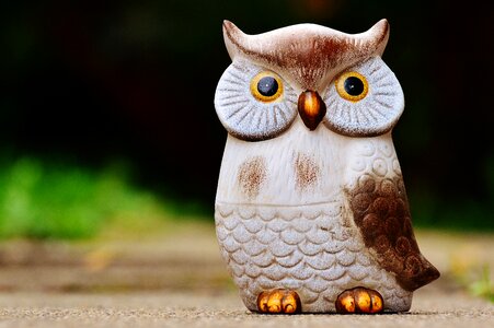 Animal cute deco