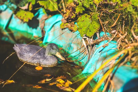 Water leaves dirty