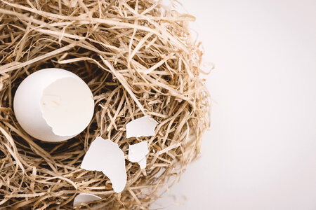 White broken egg shells in the nest. Concept of finance, broken personal savings, retirement or investment. photo