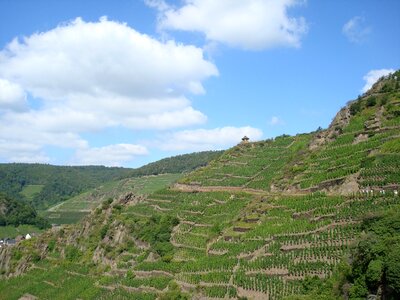 Blue landscape wine photo