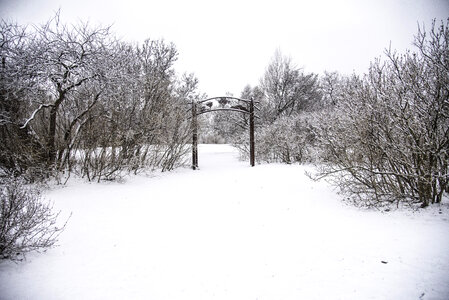 Winter and snow landscape with gate photo
