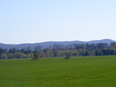 Green grassland in the Harz’ foothills photo