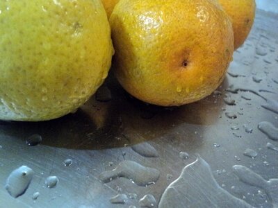 Citrus fruit orange