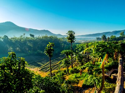 North thailand morning sun mountain landscape