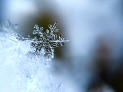 Macro snow snowflake