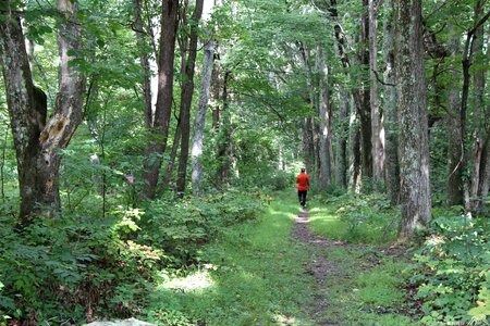 Piney Ridge Trail and Appalachian Trail Loop