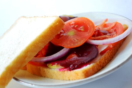 Vegetable Sandwich 6 photo