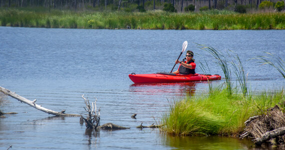 Kayaker on the water photo