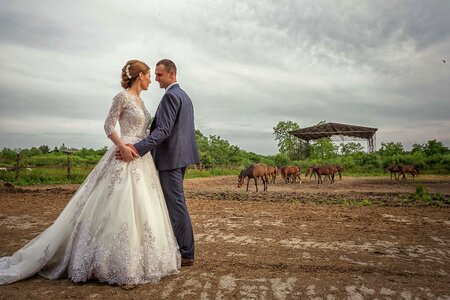 Ranch groom livestock