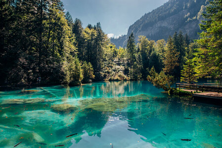 Mountain & Transparent Lake photo