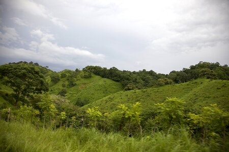 Clouds hills forest