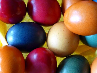 Paint color egg