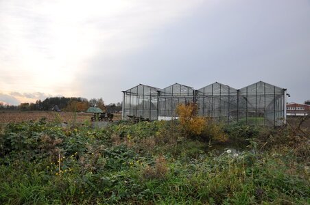 Lonely greenhouse on the fields photo