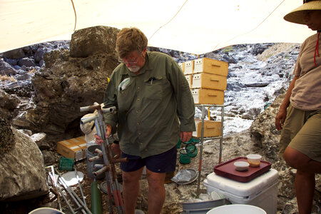 Nihoa MIllerbird Translocation-2