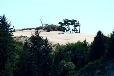 Sand dunes coast beach photo