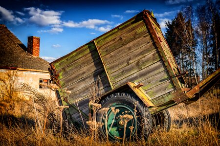 Abandoned cart flora