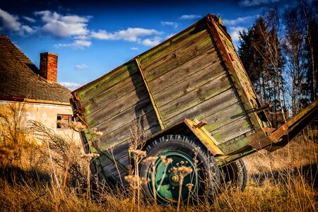 Abandoned cart flora photo