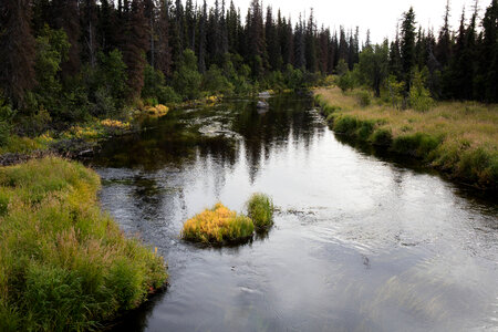 Russian River scenic-1