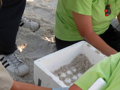 Receiver sand 