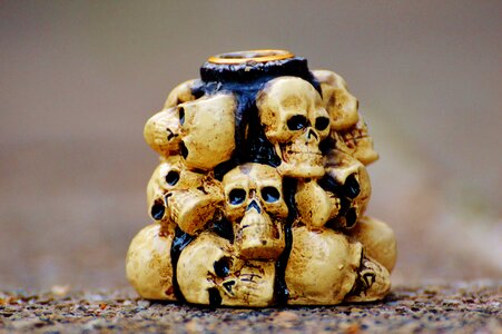 Skull skull bone weird photo