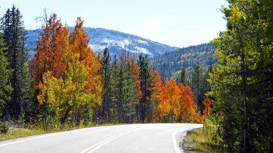 Wilderness scenery natural