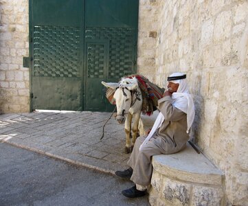 Person israel donkey photo