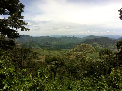 Jungle landscape wilderness photo