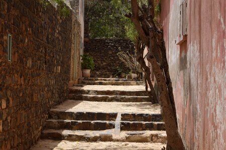 Trees plants stair