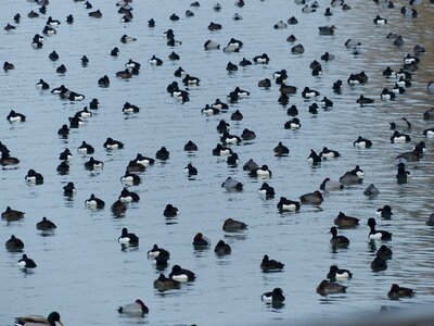 Group water lake
