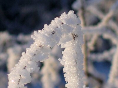 Cold mood silent