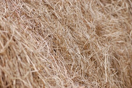 Countryside farm farmland photo