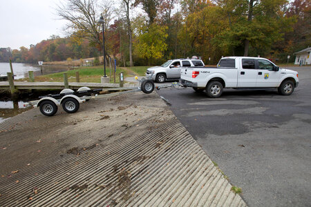Electrofishing for Northern Snakehead-3