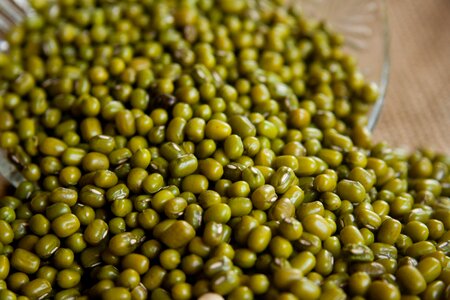 Golden gram beans green photo