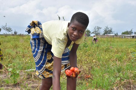 Gardening agriculture farming photo