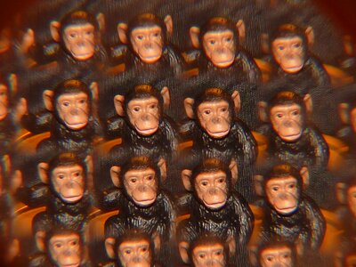 Monkey kaleidoscope art