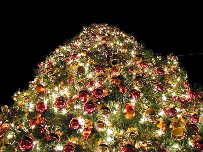 Christmas trees 