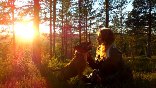 Dogs walking woman photo