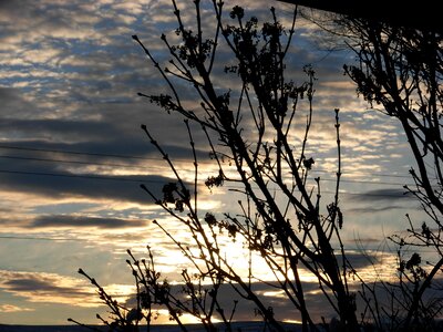 Trees sky clouds