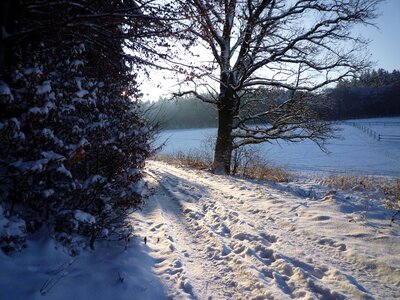 Footprints white cold