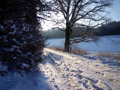 Footprints white cold photo