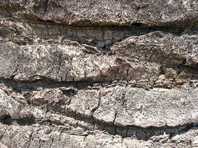 Ancient close-up gray