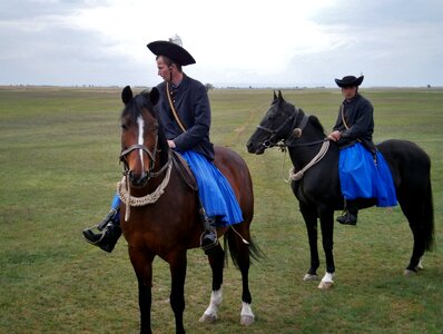 Horses costume drezůra