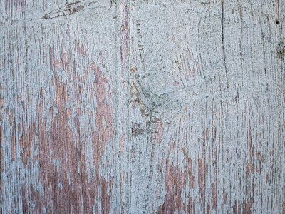 Old grain wooden structure photo